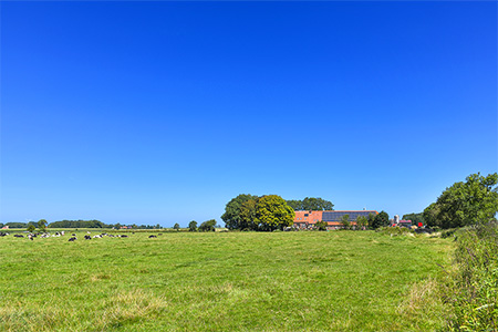 Foto aus der Fotogruppe 