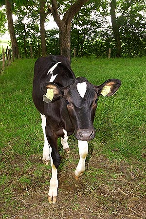 Foto aus der Fotogruppe 