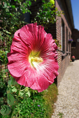 Foto aus der Fotogruppe 