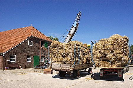 Foto aus der Fotogruppe 