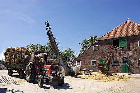 Foto aus der Fotogruppe 